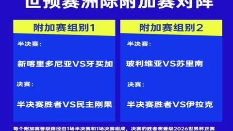 大乐透期号专家质合分析推荐：前区十码辛辛那提对老虎大学分析